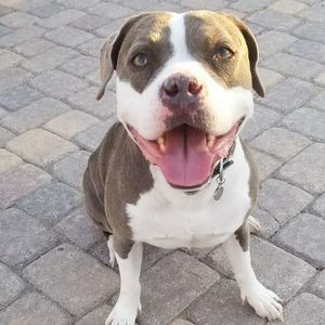 Meet your Posher, Brooke